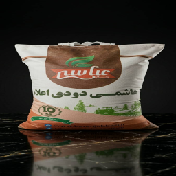 دودی